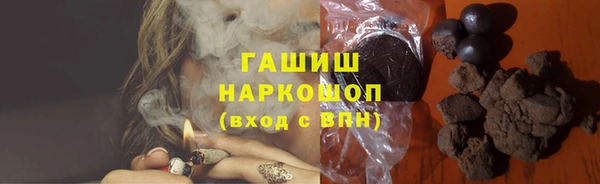 индика Ростов