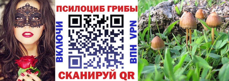 Псилоцибиновые грибы Psilocybine cubensis  Минусинск 